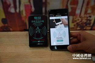 四川熊貓 烏木亮相大陸臺(tái)資企業(yè)產(chǎn)品展銷會(huì)