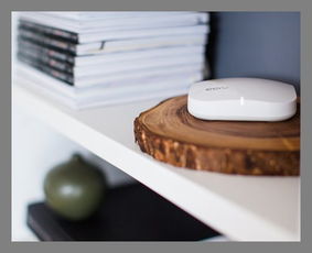 用金錢能買到的七大最漂亮科技產品